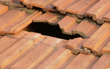 roof repair Lower Drummond, Highland
